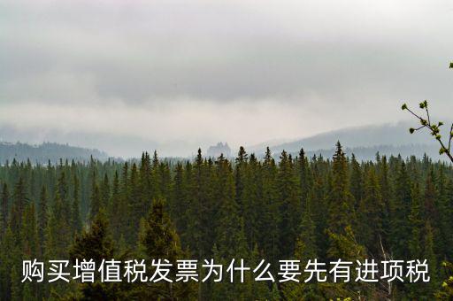 為什么要買進項票，購買增值稅發(fā)票為什么要先有進項稅