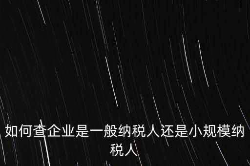 查詢公司什么納稅人，如何查企業(yè)是一般納稅人還是小規(guī)模納稅人