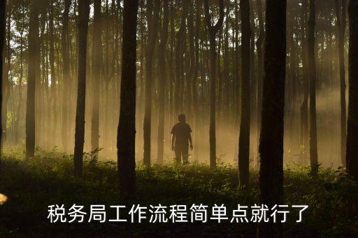 稅務(wù)局上班要什么手續(xù)，稅務(wù)局工作流程簡單點就行了