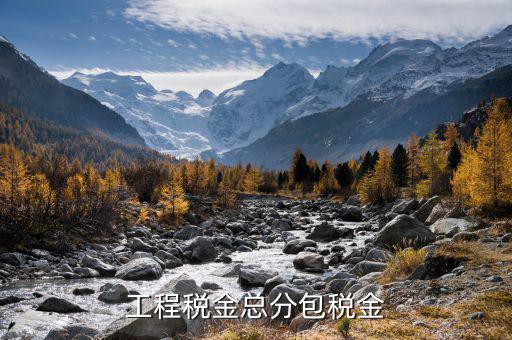 凈稅收中的總稅是什么，簡明的說下增值稅附加稅等各項稅款