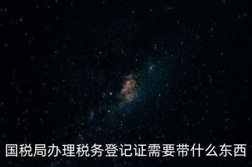國稅局辦理稅務登記證需要帶什么東西