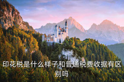 稅花什么樣，印花稅是什么樣子和普通稅費(fèi)收據(jù)有區(qū)別嗎