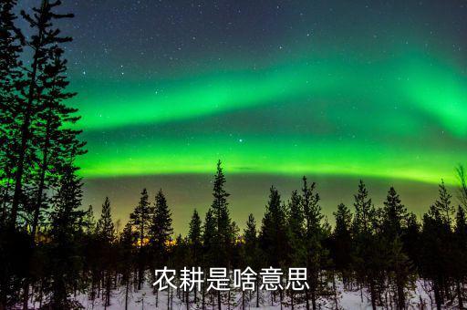 農(nóng)業(yè)機(jī)耕是什么意思，東機(jī)耕是什么