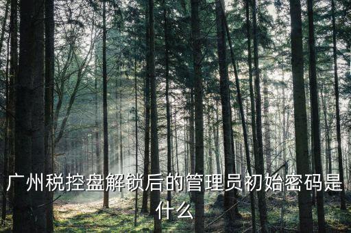 稅控盤管理員密碼是什么意思，廣州稅控盤解鎖后的管理員初始密碼是什么