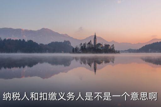 稅務人是什么，什么是納稅義務人