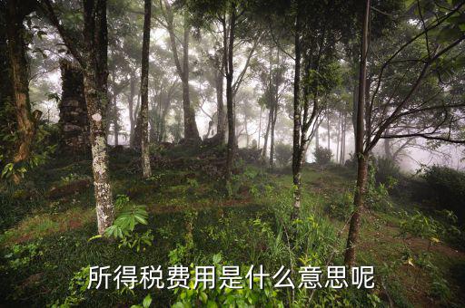 所得稅支出什么意思，企業(yè)所得稅是什么意思