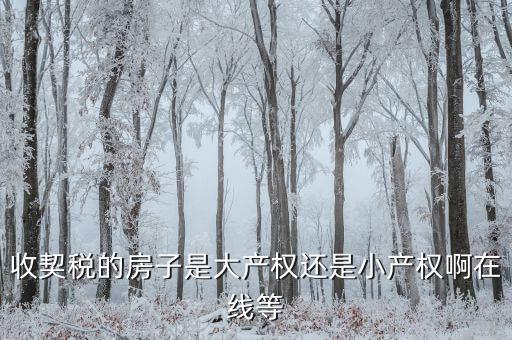 收契稅的房子是大產(chǎn)權還是小產(chǎn)權啊在線等