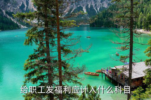給員工發(fā)年終福利記什么科目，企業(yè)職工發(fā)放的年終獎(jiǎng)入什么科目