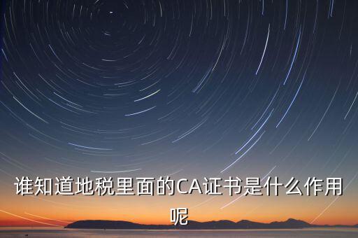 地稅安徽ca是什么意思，什么是國稅CA和地稅CA他是具體干什么用的