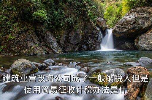 簡易計(jì)稅法是什么，簡易計(jì)稅法開具的是增值稅普通發(fā)票嗎