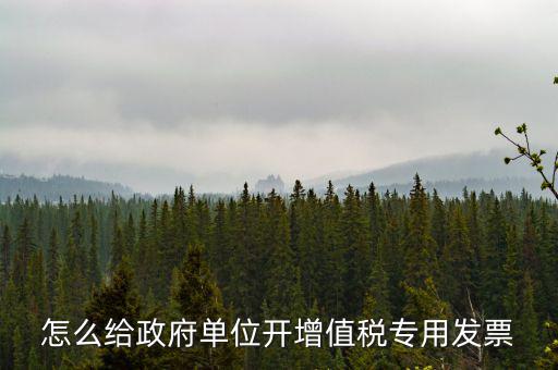 怎么給政府單位開(kāi)增值稅專用發(fā)票