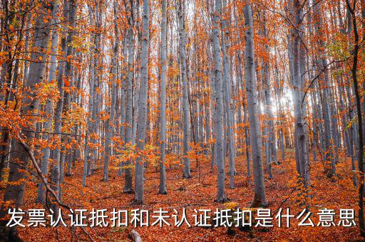 稅收抵免是什么，出口免稅是什么意思