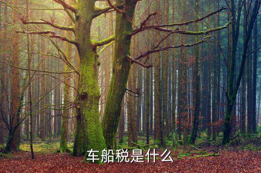 摩托車車船稅是什么，摩托車也收車船稅嗎