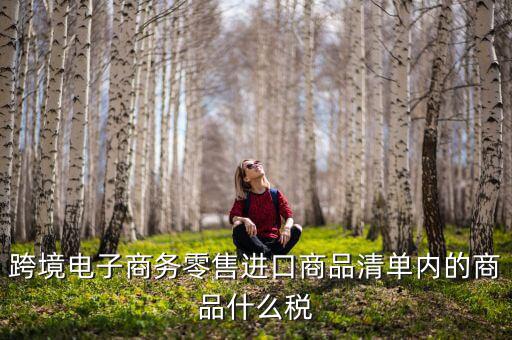 跨境電商應(yīng)交什么稅，跨境電商要繳納哪些稅