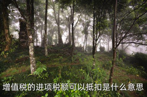 進(jìn)項抵扣是什么，增值稅的進(jìn)項稅額可以抵扣是什么意思