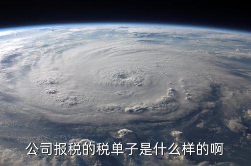 稅務(wù)清單是什么樣的，公司報(bào)稅的稅單子是什么樣的啊