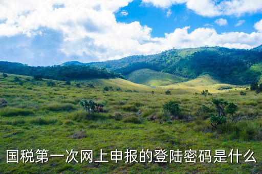 浙江國稅登入密碼是什么意思，稅務(wù)局網(wǎng)站的登入賬戶初始密碼是什么