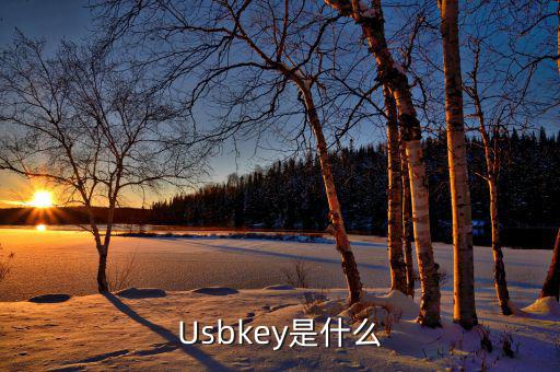 usbkey 0xa7 是什么，usbkey是什么