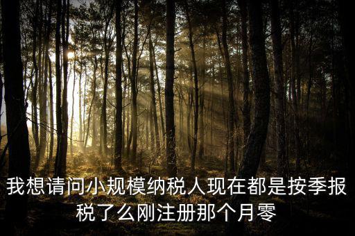 小規(guī)模什么時(shí)候零申報(bào)，增值稅小規(guī)模納稅人免稅零申報(bào)的歸屬期間