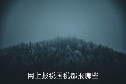 國稅云辦稅廳都報什么，你好我是新手我想問一下前輩國稅每月季年都報什么報表
