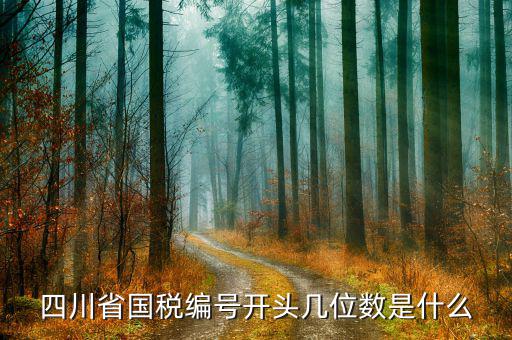 成都稅務(wù)號是什么單位，請問納稅人編碼是4419045002955是什么公司的