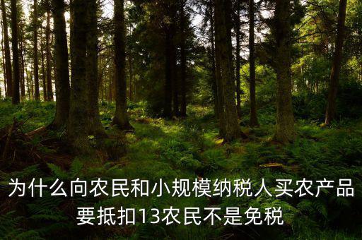 農(nóng)產(chǎn)品為什么要扣除，為什么向農(nóng)民和小規(guī)模納稅人買(mǎi)農(nóng)產(chǎn)品要抵扣13農(nóng)民不是免稅