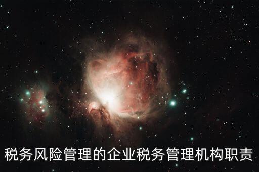 稅務(wù)風(fēng)險管理的企業(yè)稅務(wù)管理機構(gòu)職責