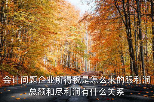企業(yè)所得稅和什么有關(guān)，增值稅和企業(yè)所得稅有關(guān)系么
