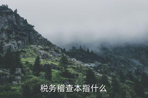 什么叫稅務(wù)稽查檢查科臺帳范本，稅務(wù)稽查本指什么
