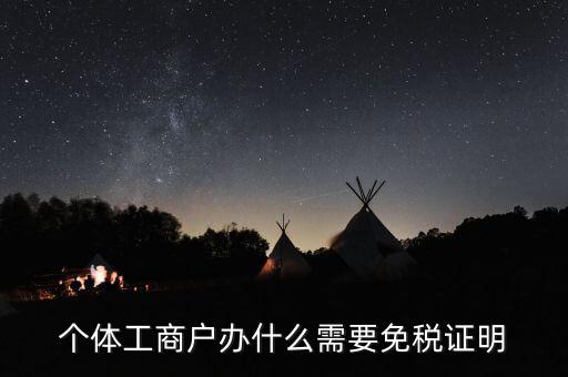 個(gè)體工商戶(hù)辦什么需要免稅證明