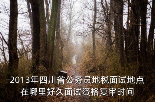 2016年四川地稅資格復(fù)審什么時候，大概什么時候資格復(fù)審啊