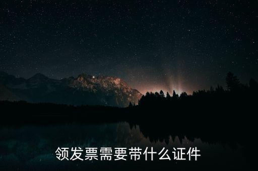 領發(fā)票需要帶什么證件