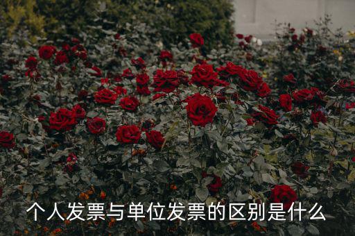 個人發(fā)票有什么內(nèi)容，個人發(fā)票與單位發(fā)票的區(qū)別是什么