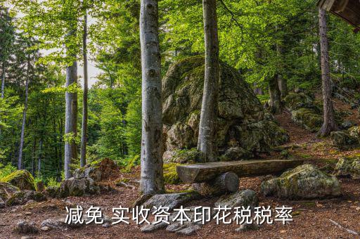 減實(shí)收資本要交什么稅，實(shí)收資本在注冊(cè)登記后就需要繳納印花稅以后按年度增加部分計(jì)算繳