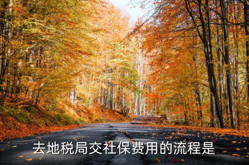 地稅局交社保需要什么手續(xù)費(fèi)，去地稅局交社保費(fèi)用的流程是