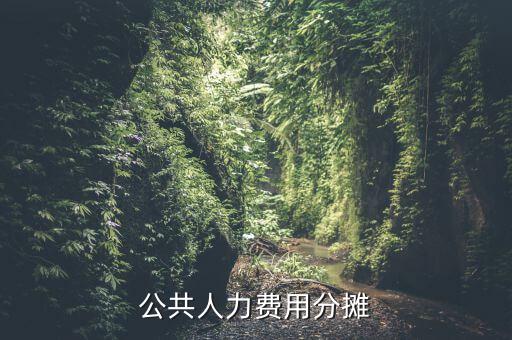 機關(guān)費用按時什么分?jǐn)?，公共人力費用分?jǐn)?/></a></span><span id=