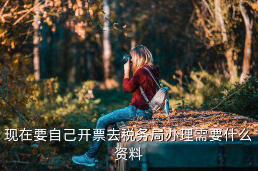 自己開(kāi)專票要什么資料，開(kāi)個(gè)人增值稅發(fā)票需要什么資料