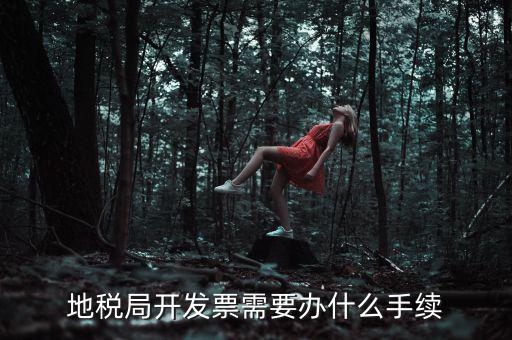 地稅申領(lǐng)發(fā)票需要什么手續(xù)，申請(qǐng)地稅發(fā)票需要什么資料