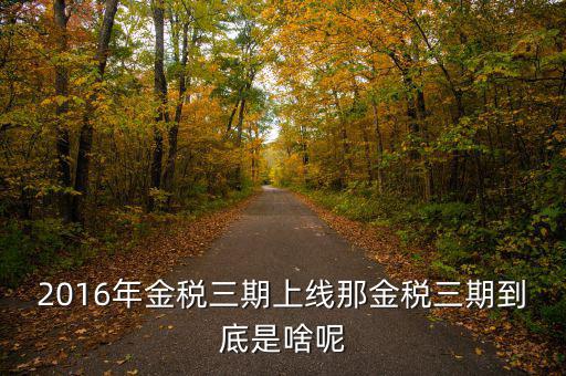 什么叫金稅三期，2016年金稅三期上線那金稅三期到底是啥呢