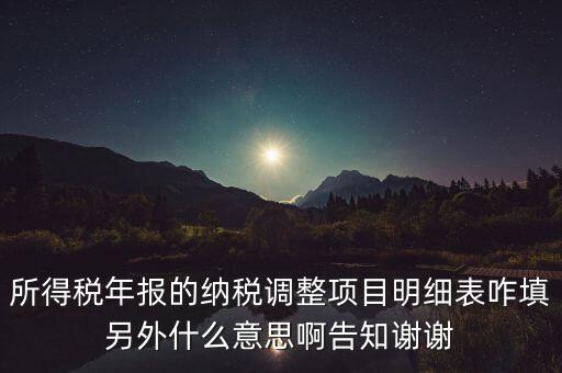 納稅調(diào)整項目明細表是什么意思，稅后調(diào)整是什么意思
