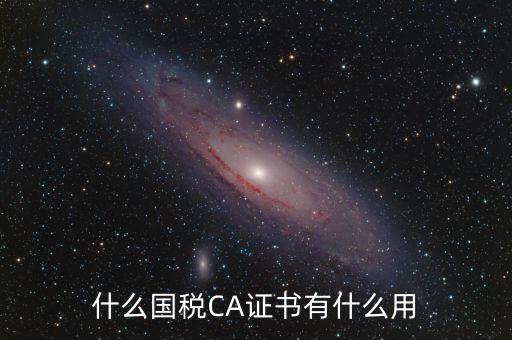 國稅ca登錄是什么，什么國稅CA證書有什么用