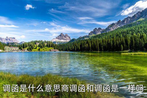 稅局調(diào)函是什么意思，暫不辦理個人檔案或同意調(diào)出函是什么意思