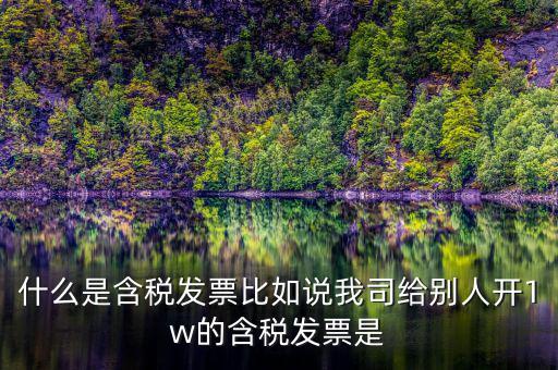 什么行業(yè)一般人發(fā)票含稅，什么類(lèi)納稅人可以開(kāi)增值稅專(zhuān)用發(fā)票
