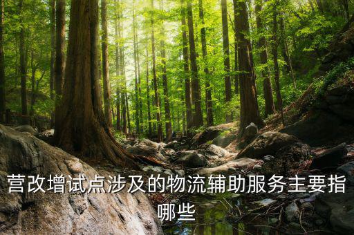 物流輔助服務屬于什么服務，貨物配服務屬于哪個行業(yè)