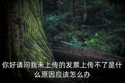 發(fā)票沒上傳什么意思，發(fā)票系統(tǒng)顯示O張未上傳發(fā)票可是在查不到提示查無此票怎么回