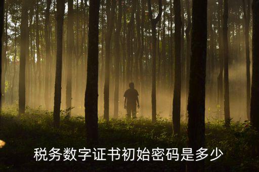 地稅數(shù)字證書的密碼是什么，稅控證書密碼是多少只有可能是8位嗎