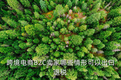 什么情況退稅，跨境電商B2C賣家哪些情形可以出口退稅