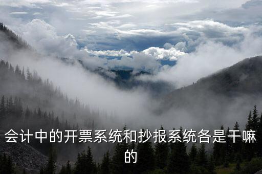 報(bào)稅開票系統(tǒng)是什么意思，每個月一號重登金稅盤開票系統(tǒng)是什么意思