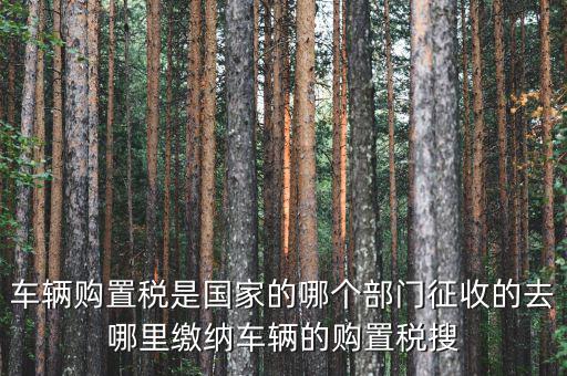 車購稅局屬于什么，車輛購置稅是國家的哪個部門征收的去哪里繳納車輛的購置稅搜