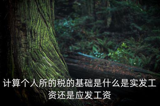稅金的計(jì)算基礎(chǔ)是什么，計(jì)稅基礎(chǔ)是什么意思